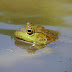 P1040142