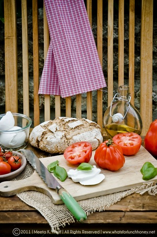 [BaconTomatoMozTartine_0051WM2.jpg]