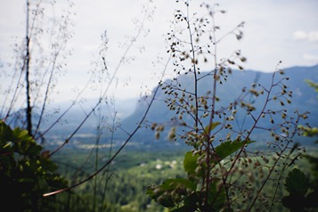 _MG_3169 copy