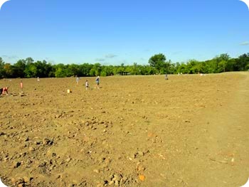 3-field 3-field
