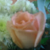 OgAAAOUVygFNk-0j6O6fc1UWlQ5NHaD0nzYlz543x1qXog1cm_aoaRq8inWKFN_947OmjnbdjnX0XXgl429_TibPW60Am1T1UJUzmxIs8mrDzuNMiv_3YSNeh5QP.jpg