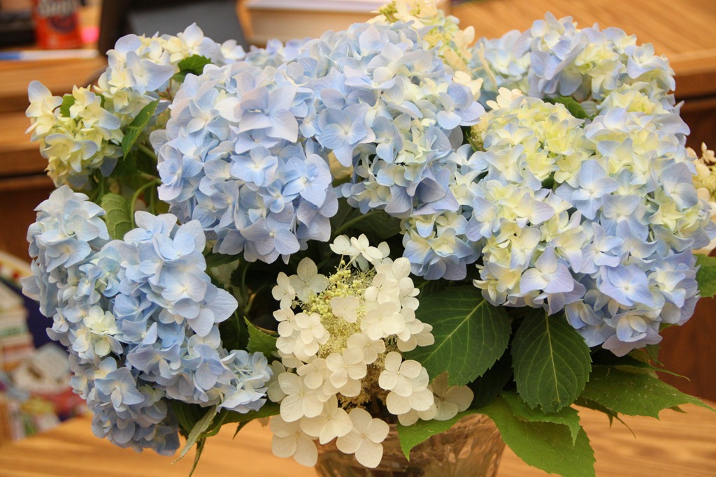 [IMG_4395%255B5%255D.jpg]