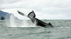 Sprachaufenthalt Kolumbien