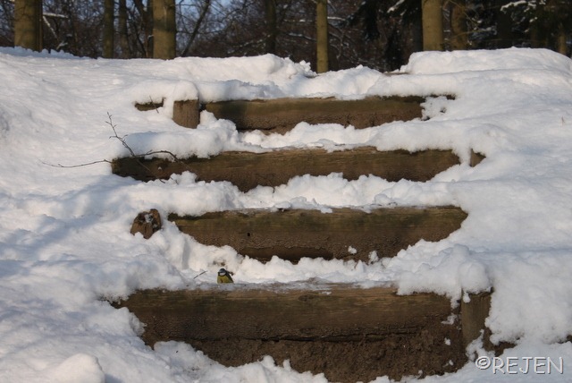[IMG_2709%255B3%255D.jpg]