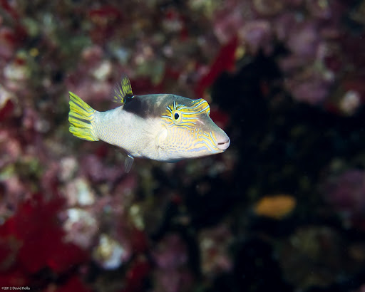P4143019