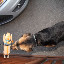 48er-2011-30-07-2011_19-54-08.jpg