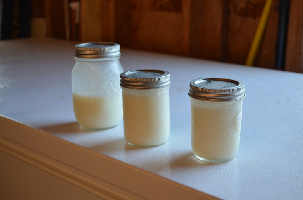 [DSC_2697%255B6%255D.jpg]