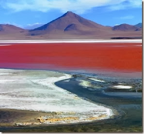 Laguna Colorada, Salar de Uyuni - Bolívia Autora Renata Campos