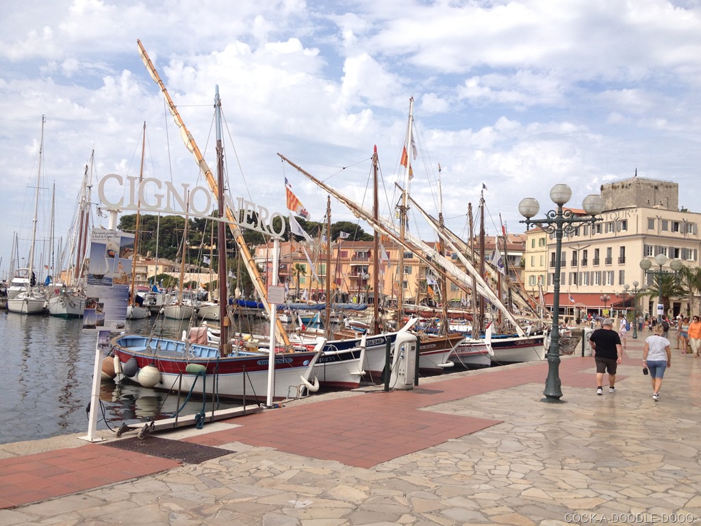 [IMG_1375%255B11%255D.jpg]