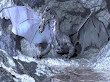 Grey Dragon In Grey Rocks