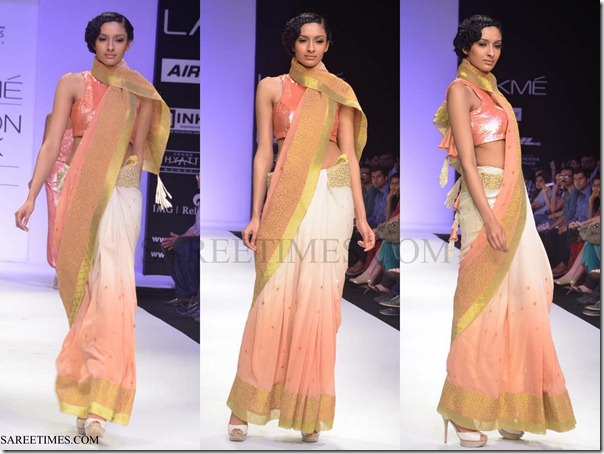 Payal_Kapoor_Saree