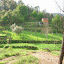 DSCN5695.JPG