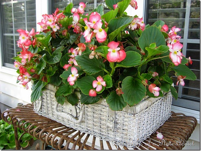 CONFESSIONS OF A PLATE ADDICT Shabby Picnic Basket Planter