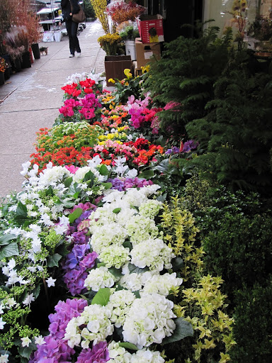 The white flowers are beautiful hydrangeas.
