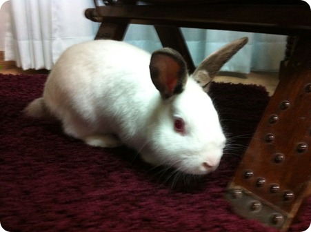 Photo 21-12-11 17 17 03 Photo 21-12-11 17 17 03