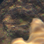 DSC_2154.jpg