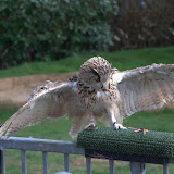 Cub Pack Holiday - Skreens Park 2012 - DSC_0168.jpg