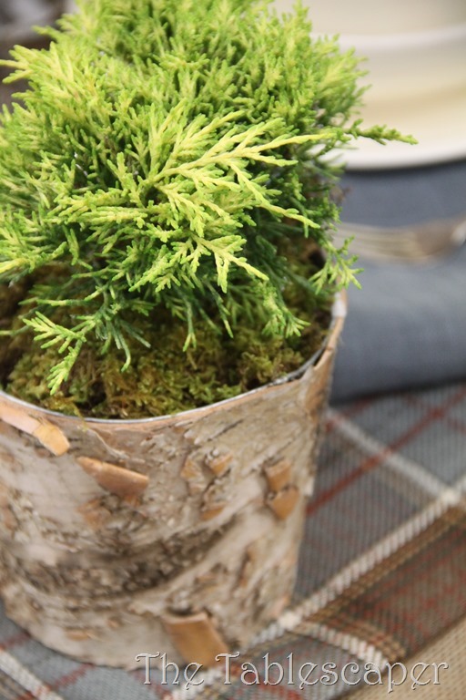 Country Living Fair 063