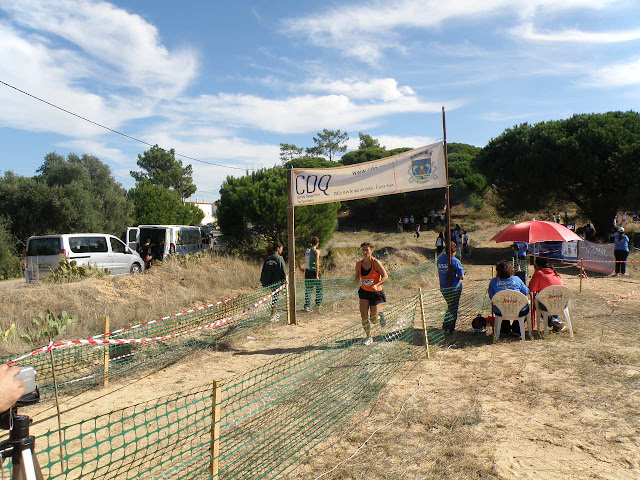 PA290265.JPG