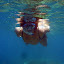 Koalate aquatique