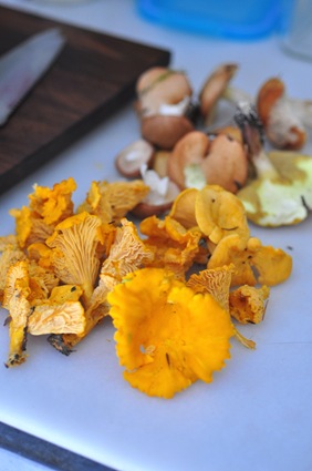 chanterelles_chopping_block