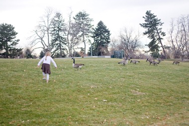 11.19.12 park soph geese chasing