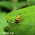 Dscn5089