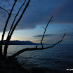 DSC_0034.jpg