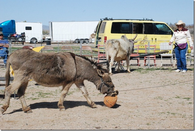 02-28-13 A Cutler Show in Bouse 024