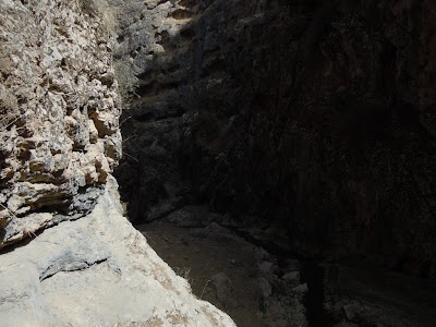 DSCN3935.jpg