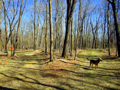 Carlos at the intersection of Sap Run and Skaters waltz ski trails