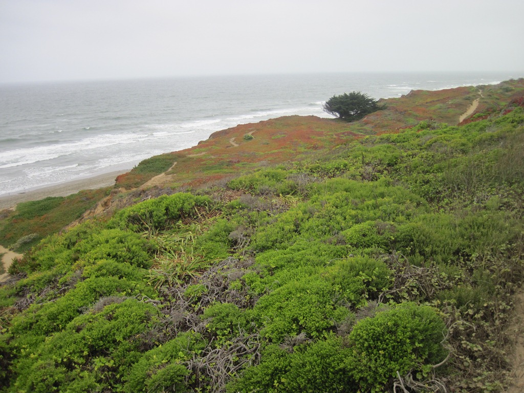 [IMG_0797%255B5%255D.jpg]