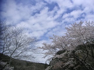 20140402-023.jpg
