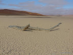 Death Vlei