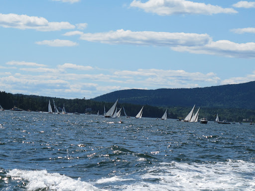 What a beautiful day for a sail.  That must be a regatta.