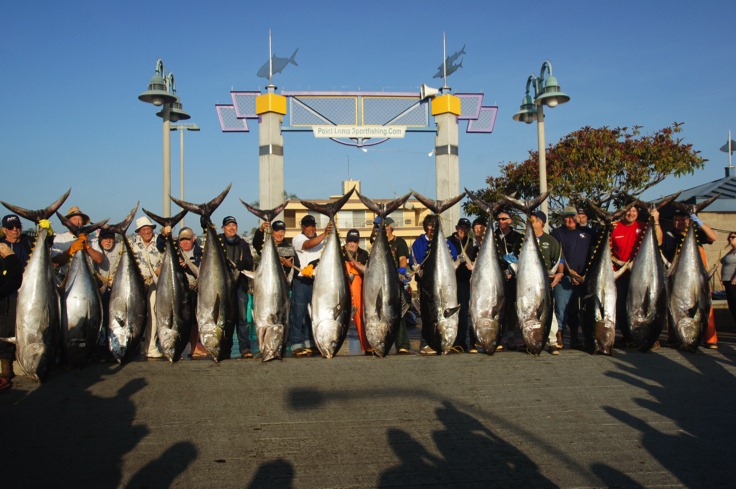 [AA2-2-12Group%255B3%255D.jpg]