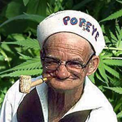 c0 A real Popeye the Sailor Man