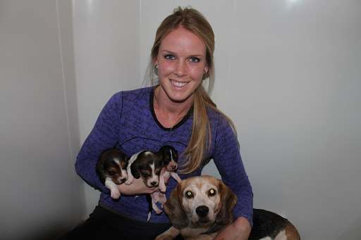 Kelly with her current foster crew: a mama beagle rescued from a horrific illegal breeding operation and her three pups.