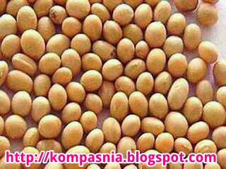 http://kompasnia.blogspot.com