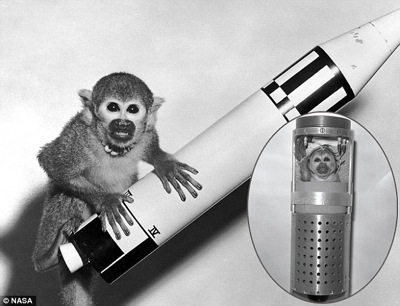 Scientists placed two squirrel monkeys aboard Challenger in 1985 to see if space would change their eating habits