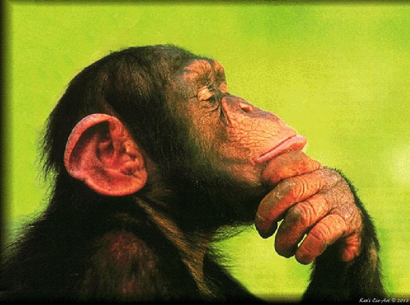 [chimp-thinking%255B3%255D.jpg]
