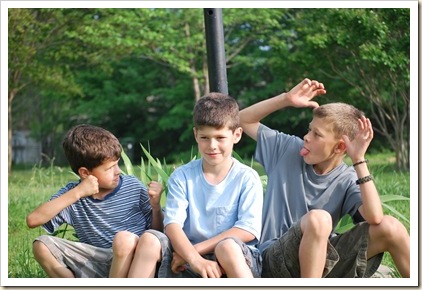 silly brothers