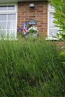 Diamond Jubilee