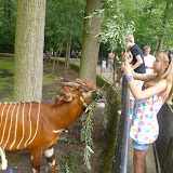 Album weergeven