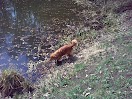 01042012237.jpg