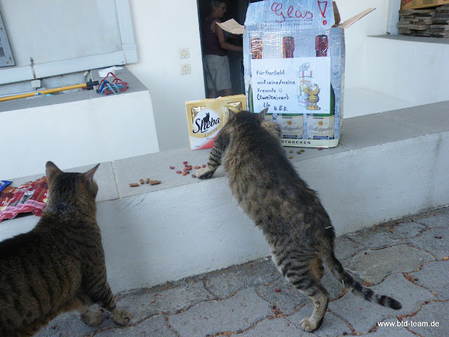 Kreta-07-2011-021.JPG