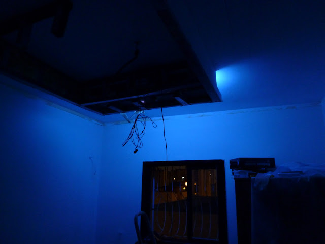 P1000439.JPG