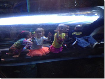 IMG_4966 IMG_4966