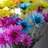 A nice bunch of flowers