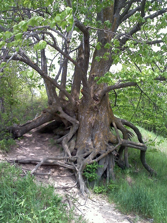 [20110531152716%255B3%255D.jpg]